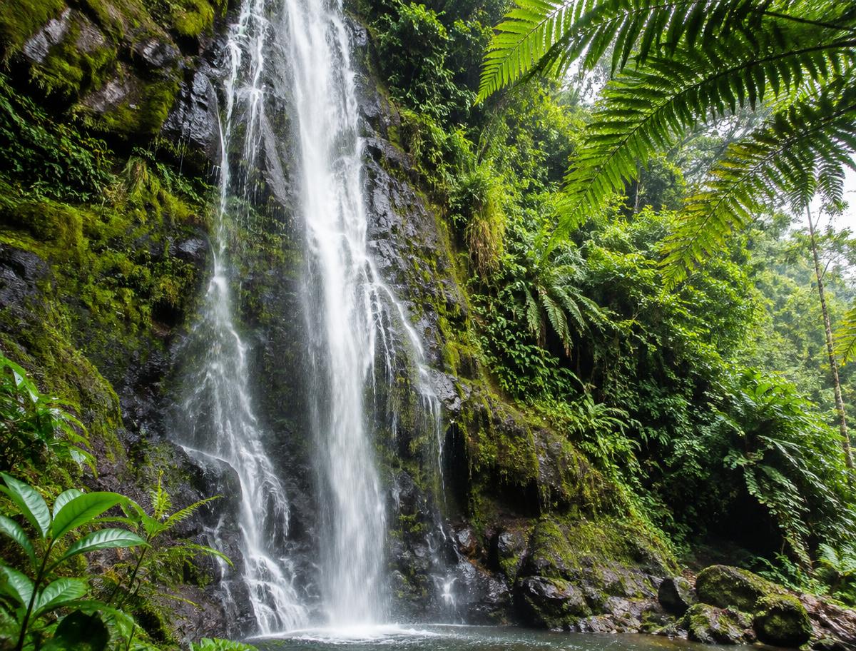 Waterfalls & Hiking